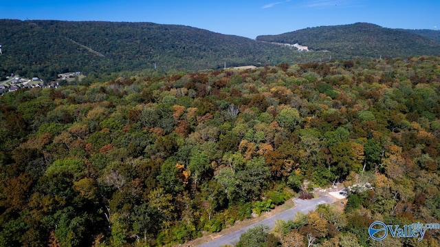 7010 Ridge Crest Rd, Owens Cross Roads, AL 35763