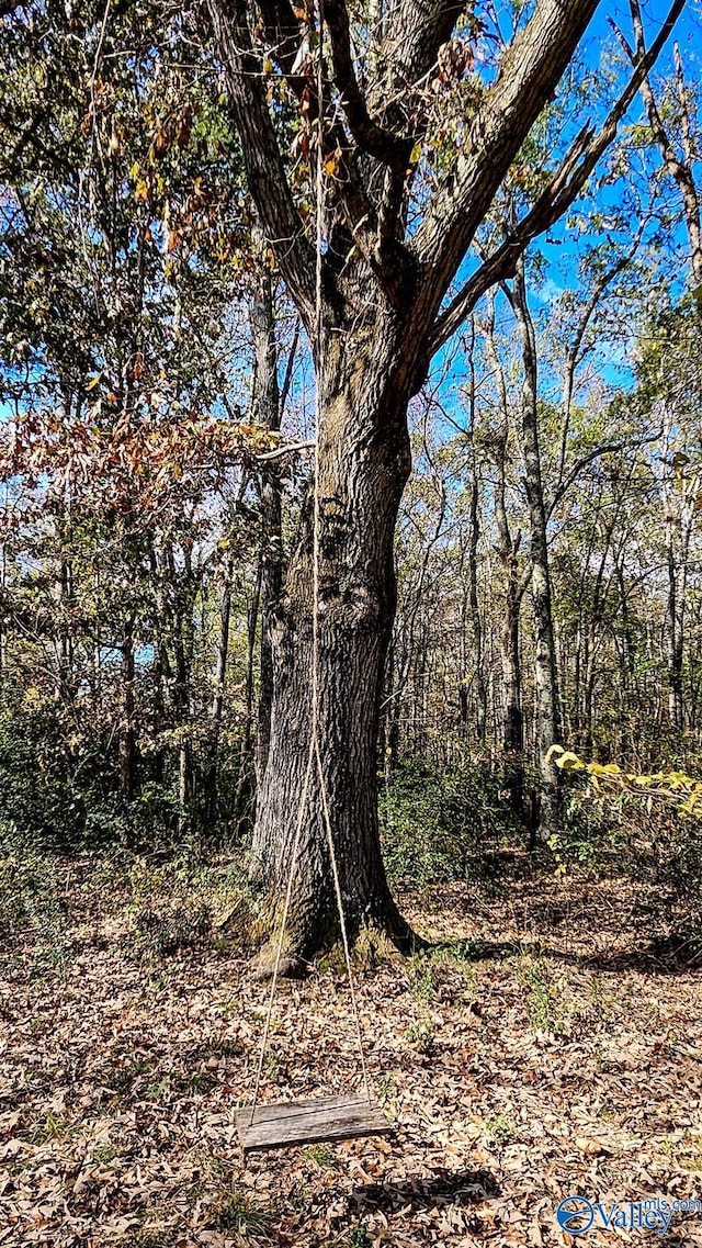 view of local wilderness