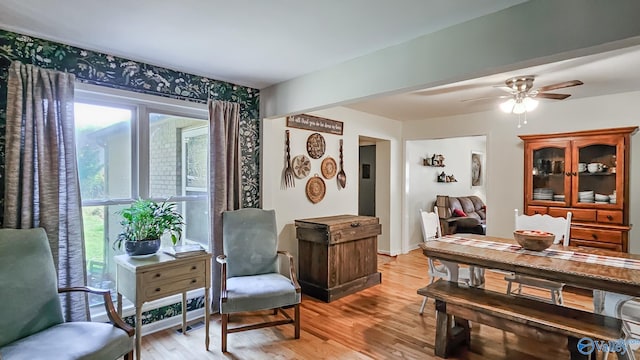 living area with ceiling fan and light hardwood / wood-style floors