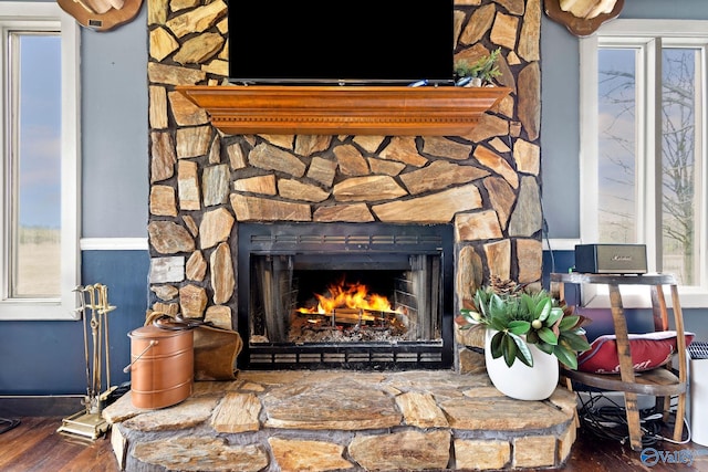room details featuring a fireplace and wood finished floors