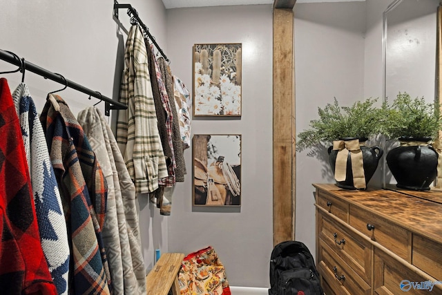 view of walk in closet