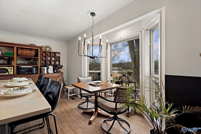 dining room featuring a textured ceiling, wood finished floors, and crown molding