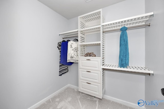 spacious closet with light carpet