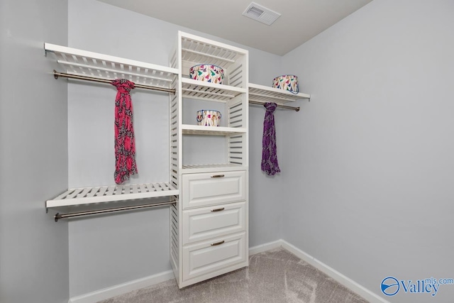 spacious closet with light carpet