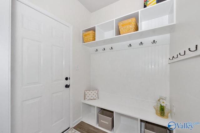 mudroom featuring hardwood / wood-style flooring