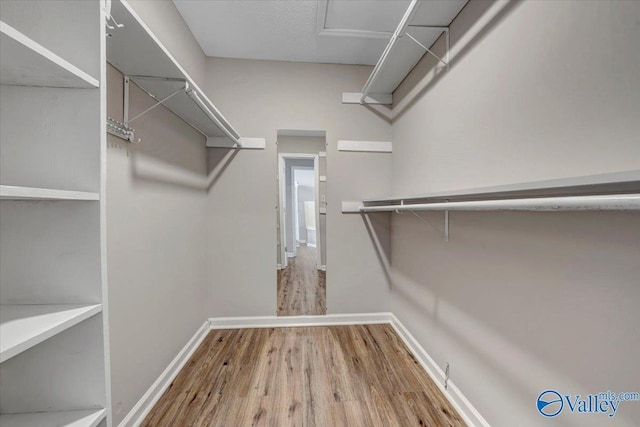 walk in closet featuring light hardwood / wood-style floors