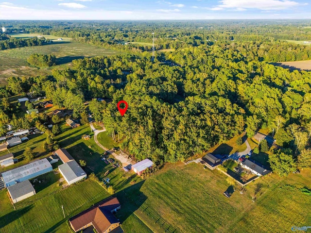 drone / aerial view