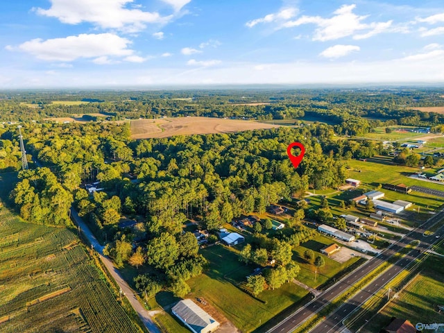 birds eye view of property with a rural view