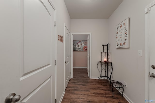 hallway with dark wood-type flooring