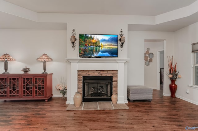 living room with a stone fireplace, wood-type flooring, and a raised ceiling