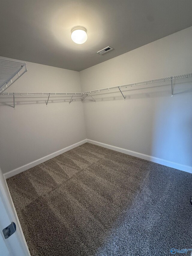 301 Carnation Ave, Meridianville, AL 35759 - spacious closet featuring carpet floors and visible vents