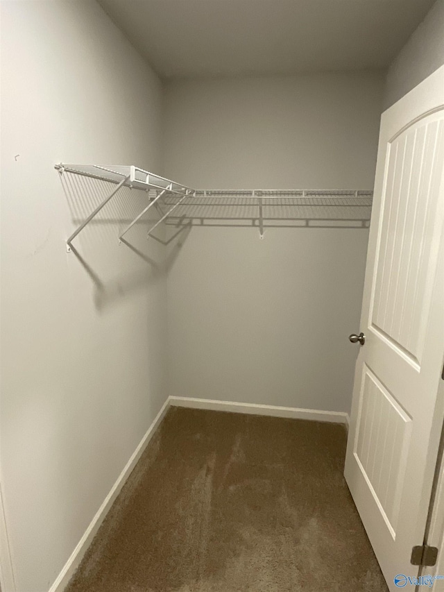 spacious closet featuring dark colored carpet