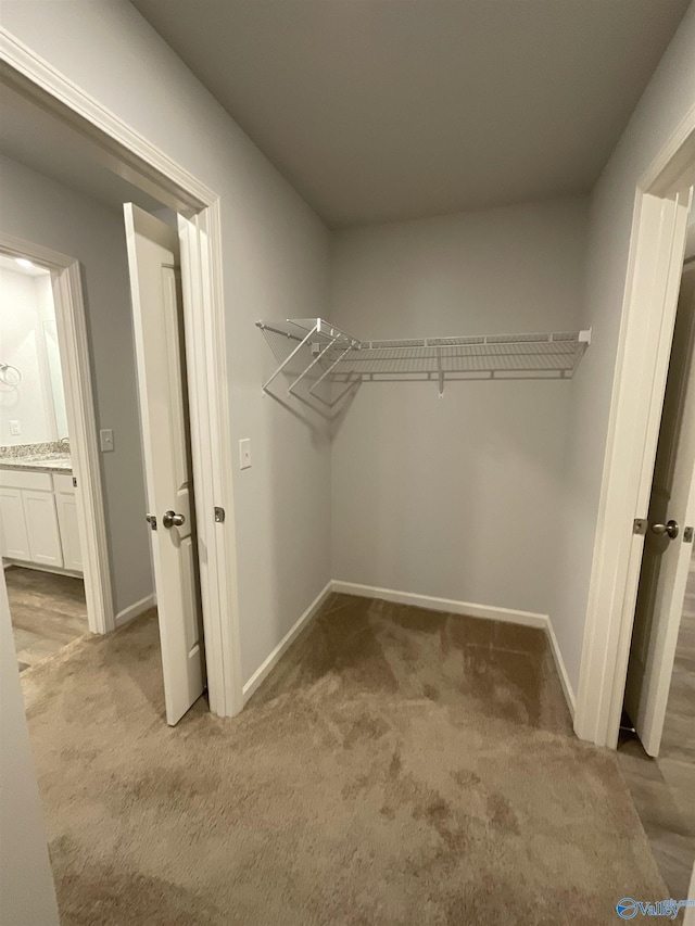 spacious closet featuring light colored carpet