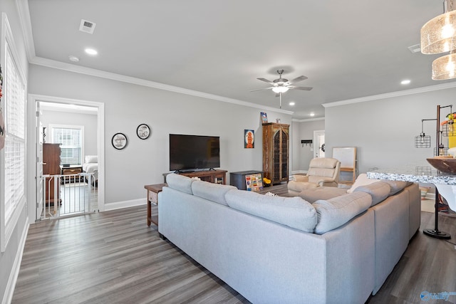 living room featuring ceiling fan, wood-type flooring, and crown molding