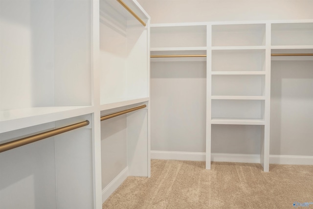106 Kite Cir, Madison, AL 35756 - walk in closet featuring light carpet