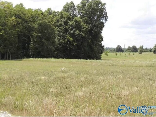 23711 Barkley Way, Athens, AL 35613