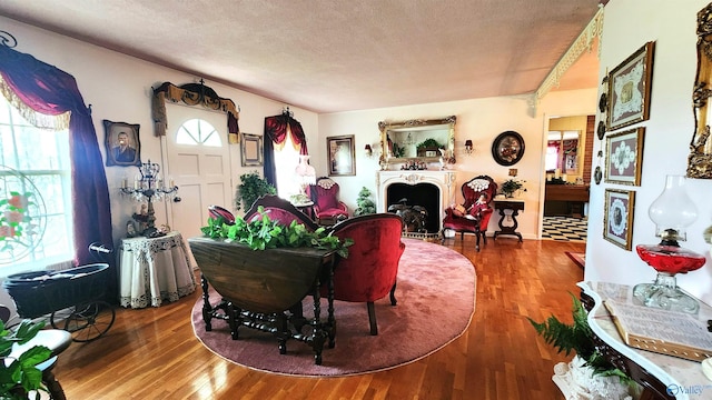 living room featuring a textured ceiling and hardwood / wood-style flooring