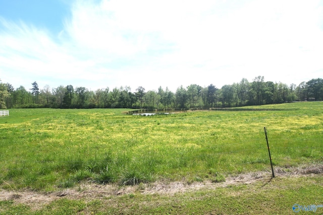 view of yard featuring a rural view