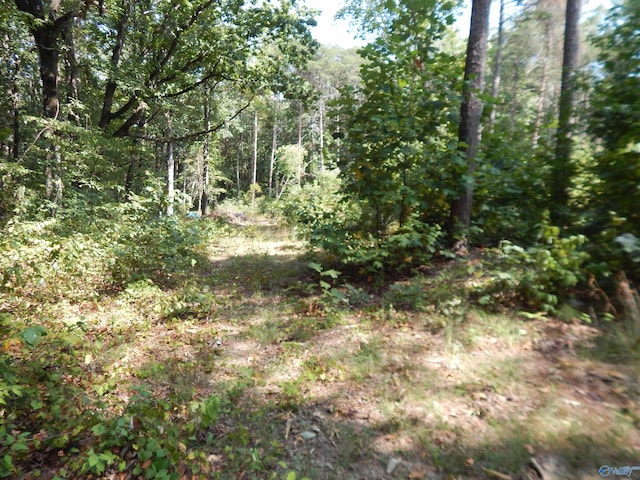 Listing photo 2 for 1ACRE County Road 853, Fort Payne AL 35967