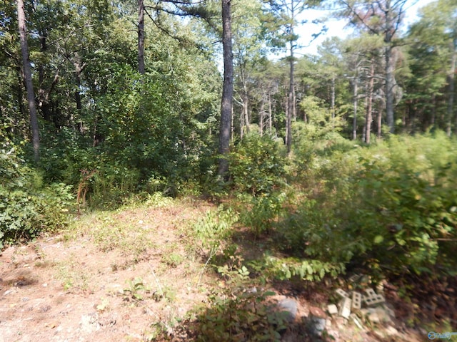 Listing photo 3 for 1ACRE County Road 853, Fort Payne AL 35967