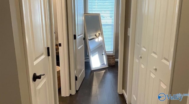 hallway with dark wood-style floors