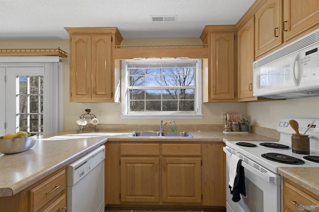 kitchen with a textured ceiling, white appliances, plenty of natural light, and sink