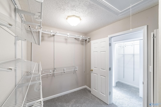 walk in closet with attic access and carpet floors