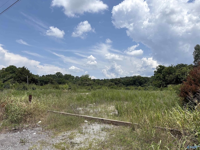 3AC Cox Ave, Stevenson, AL 35772