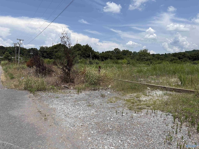 3AC Cox Ave, Stevenson, AL 35772