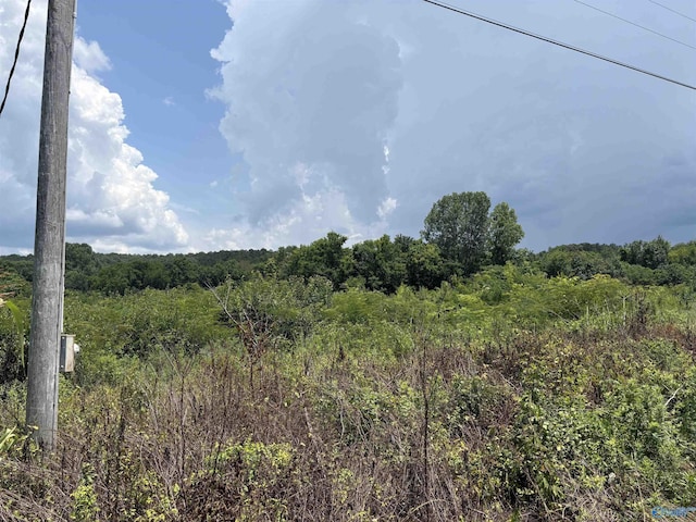 3AC Cox Ave, Stevenson, AL 35772