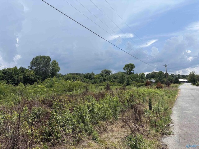 3AC Cox Ave, Stevenson, AL 35772