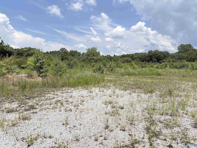 3AC Cox Ave, Stevenson, AL 35772