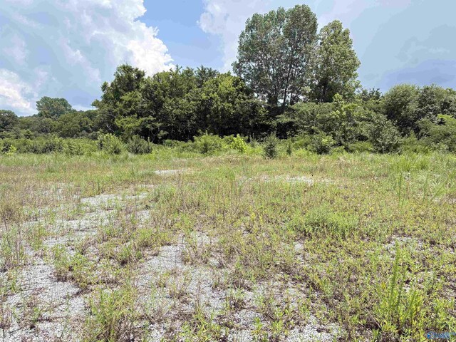 3AC Cox Ave, Stevenson, AL 35772