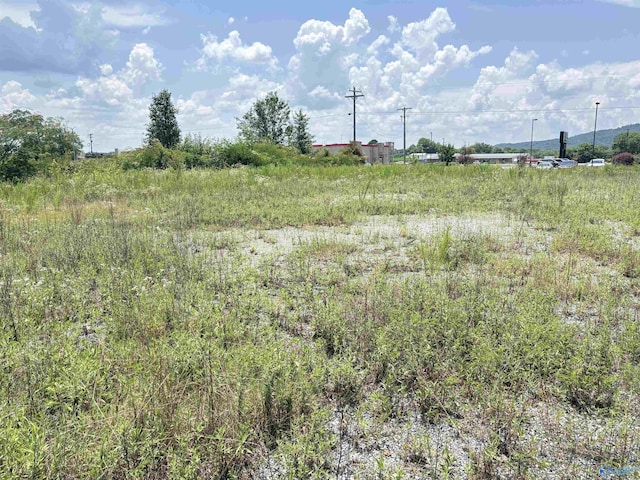 3AC Cox Ave, Stevenson, AL 35772