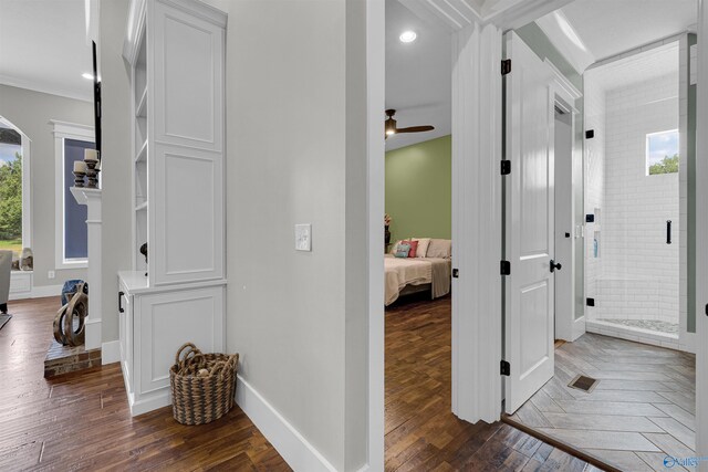 corridor featuring dark hardwood / wood-style floors and a healthy amount of sunlight