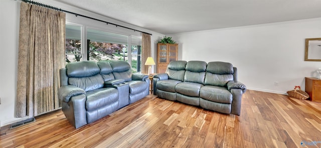 living room with crown molding and light wood-type flooring