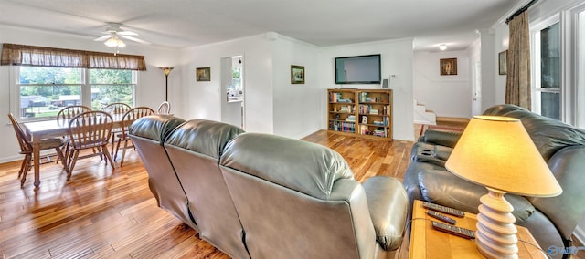 living room with crown molding, ceiling fan, and light hardwood / wood-style floors