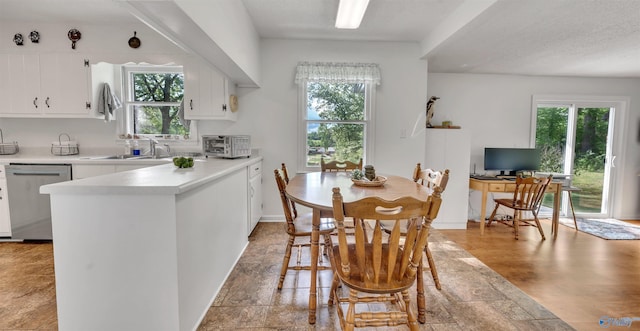 dining room featuring a healthy amount of sunlight, light hardwood / wood-style floors, and sink