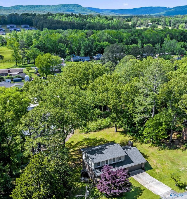 birds eye view of property with a mountain view