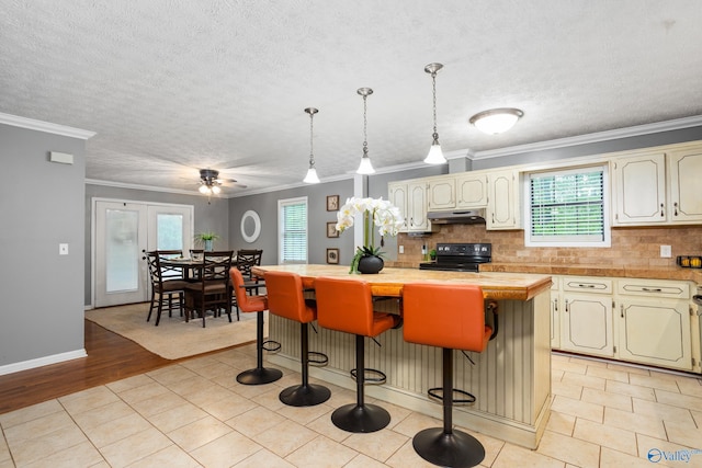 kitchen with under cabinet range hood, decorative backsplash, black / electric stove, crown molding, and a kitchen island