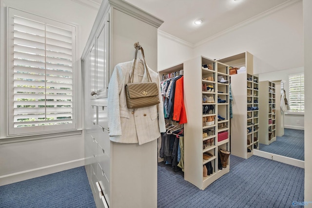 walk in closet featuring carpet floors