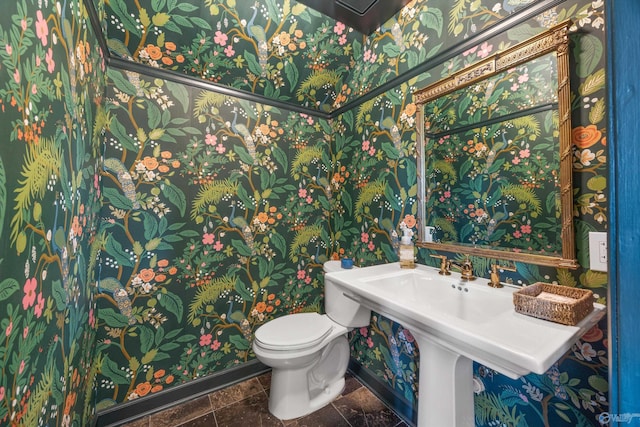 bathroom with sink and toilet