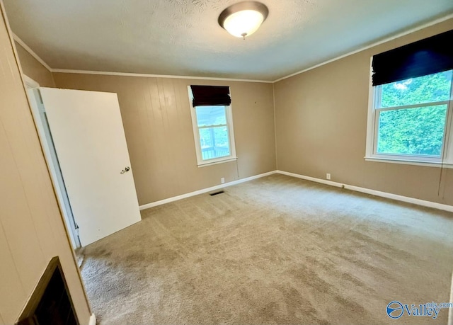 carpeted empty room with baseboards, visible vents, a textured ceiling, and crown molding
