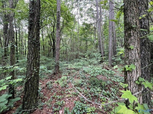 0.83 Oakhill Rd NE, Fort Payne, AL 35967