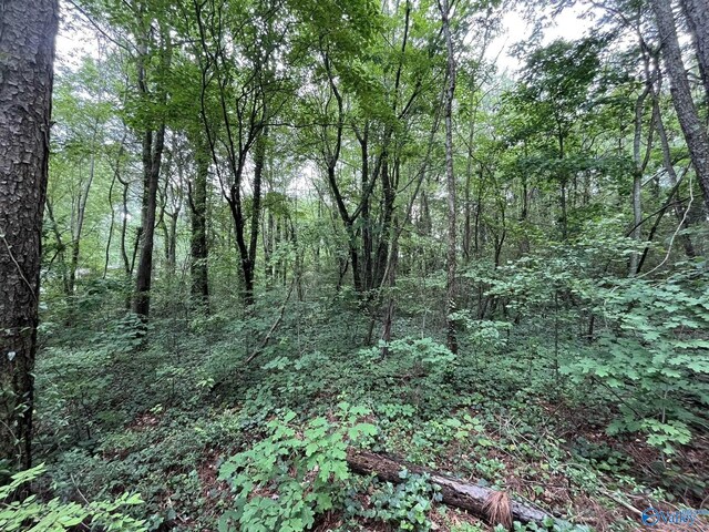 0.83 Oakhill Rd NE, Fort Payne, AL 35967
