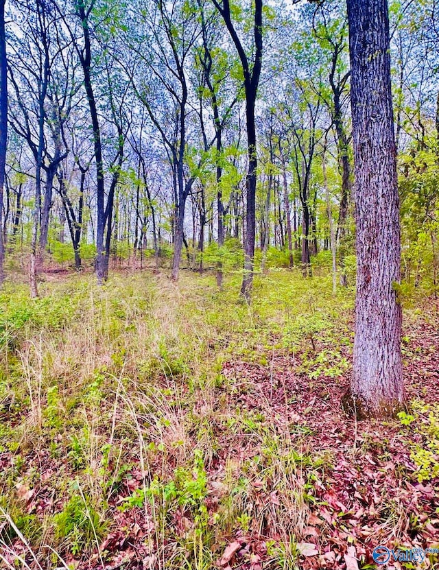 LOT14 Murray Dr, Decatur AL, 35603 land for sale