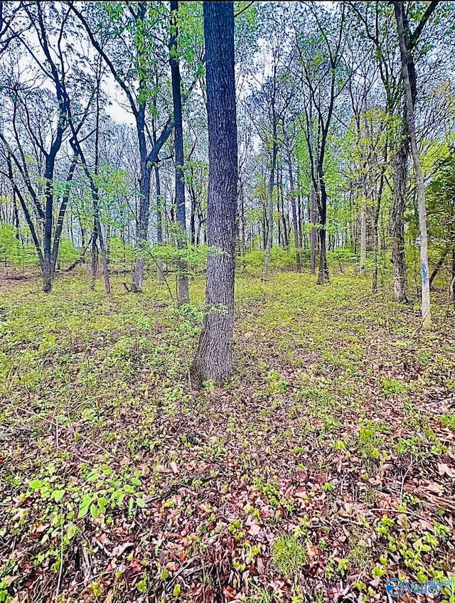 Listing photo 2 for LOT14 Murray Dr, Decatur AL 35603