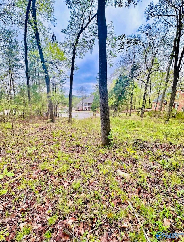 Listing photo 3 for LOT14 Murray Dr, Decatur AL 35603