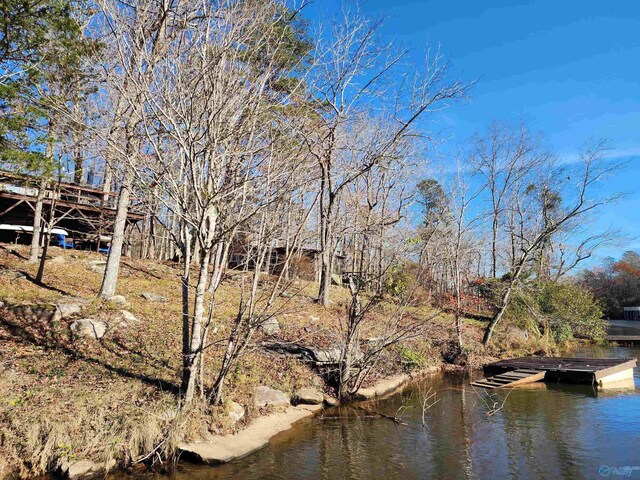 view of water feature with a dock