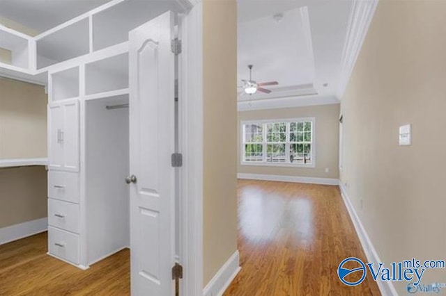 hall with hardwood / wood-style floors, a tray ceiling, and crown molding